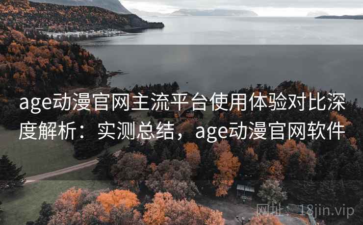 age动漫官网主流平台使用体验对比深度解析：实测总结，age动漫官网软件