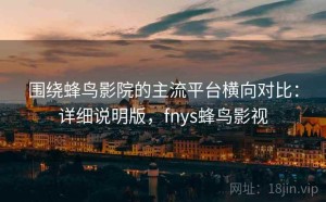 围绕蜂鸟影院的主流平台横向对比：详细说明版，fnys蜂鸟影视
