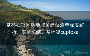 茶杯狐官网功能取舍建议清单深度解析：实测总结，茶杯狐cupfoxa