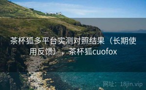 茶杯狐多平台实测对照结果（长期使用反馈），茶杯狐cuofox