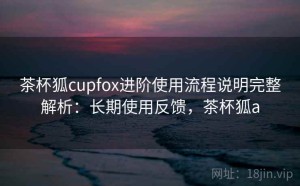 茶杯狐cupfox进阶使用流程说明完整解析：长期使用反馈，茶杯狐a