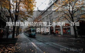 围绕蘑菇视频的完整上手流程：详细说明版
