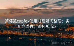 茶杯狐cupfox使用过程疑问整理：实用向整理，茶杯狐 fox