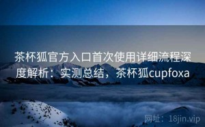 茶杯狐官方入口首次使用详细流程深度解析：实测总结，茶杯狐cupfoxa