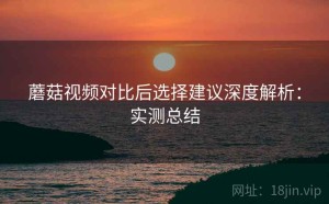 蘑菇视频对比后选择建议深度解析：实测总结