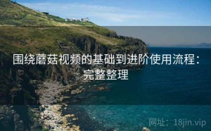 围绕蘑菇视频的基础到进阶使用流程：完整整理