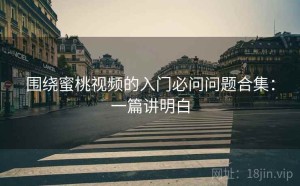 围绕蜜桃视频的入门必问问题合集：一篇讲明白