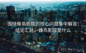 围绕蜂鸟影院的核心问题集中解答：结论汇总，蜂鸟影院是什么